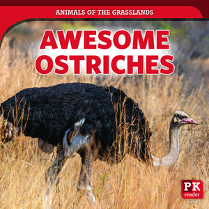 Awesome Ostriches by Theresa Emminizer