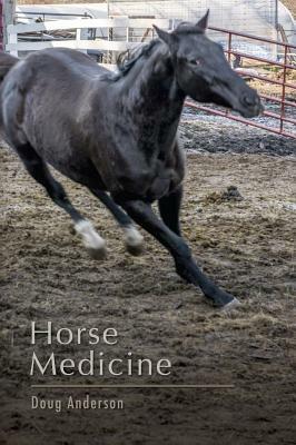 Horse Medicine by Doug Anderson