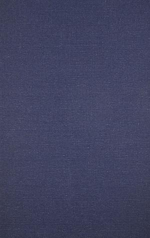 Fictional Realism in Twentieth-Century China: Mao Dun, Lao She, Shen Congwen by David Der-wei Wang