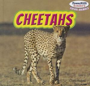 Cheetahs by Clara Reade