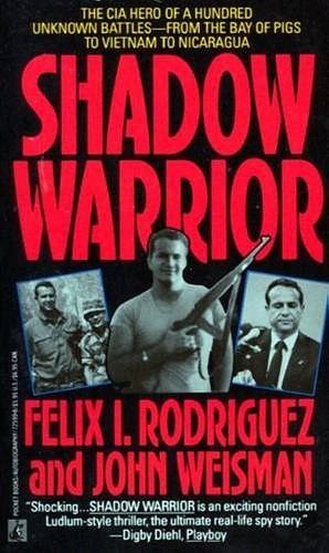 Shadow Warrior by Paul McCarthy