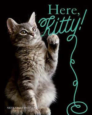 Here, Kitty! by Nicola Swinney