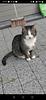 kaasmetgaatjes's profile picture