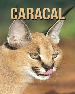 Caracal: Amazing Facts & Pictures by Jessica Joe