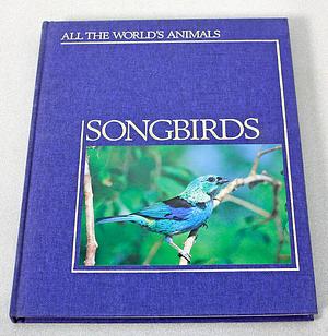 Songbirds by 