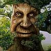 nuorivegaani's profile picture