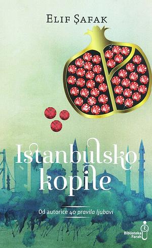 Istanbulsko kopile by Elif Shafak