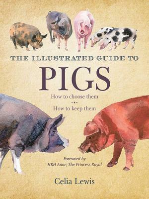 The Illustrated Guide to Pigs: How to Choose Them, How to Keep Them by Celia Lewis