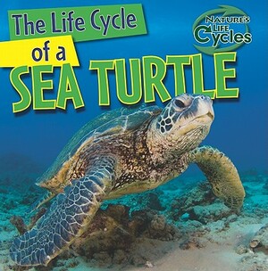 The Life Cycle of a Sea Turtle by Anna Kingston