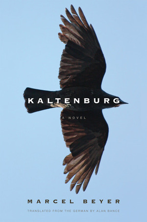 Kaltenburg by Marcel Beyer, Alan Bance