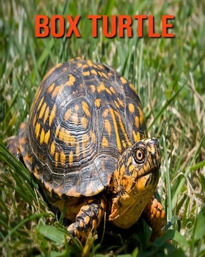 Box Turtle: Learn About Box Turtle and Enjoy Colorful Pictures by Diane Jackson