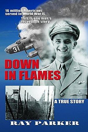 Down In Flames by Ray Parker, Ray Parker