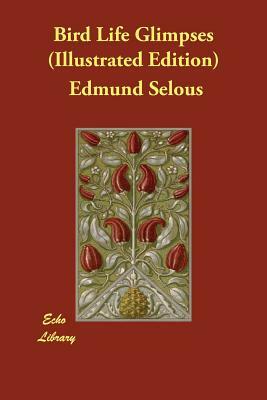 Bird Life Glimpses (Illustrated Edition) by Edmund Selous