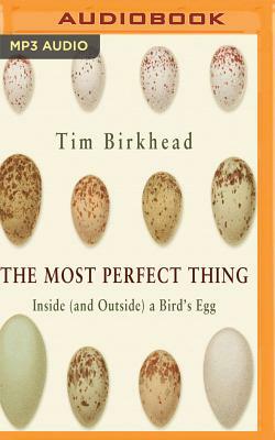 The Most Perfect Thing by Tim Birkhead