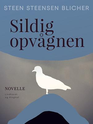 Sildig Opvaagnen by Steen Steensen Blicher