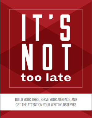 It's not too late by Jeff Goins