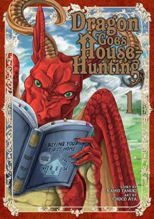 Dragon Goes House-Hunting, Vol. 1 by Choco Aya, Kawo Tanuki