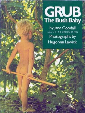 Grub, the Bush Baby by Hugo van Lawick, Jane Goodall