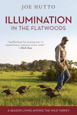 Illumination in the Flatwoods: A Season Living Among the Wild Turkey by Joe Hutto