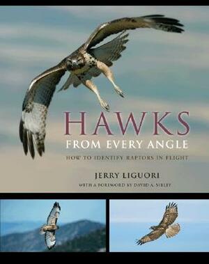 Hawks from Every Angle: How to Identify Raptors in Flight by Jerry Liguori