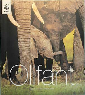 Olifant by Gerard M.L. Harmans