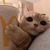 pipweather's profile picture