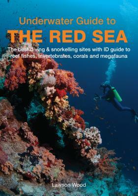 Underwater Guide to the Red Sea by Lawson Wood