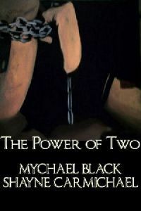 The Power of Two by Mychael Black, Shayne Carmichael