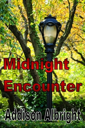 Midnight Encounter by Addison Albright