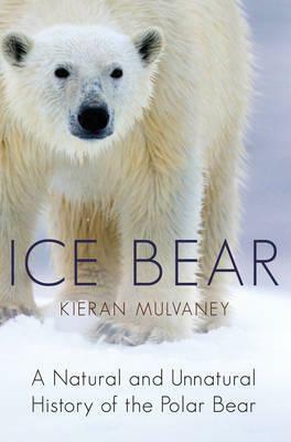 Ice Bear: A Natural and Unnatural History of the Polar Bear by Kieran Mulvaney