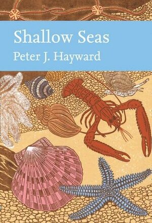 Shallow Seas by Peter Hayward