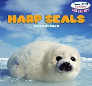 Harp Seals by Sam Drumlin