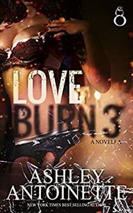 Love Burn 3 by Ashley Antoinette