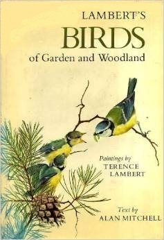 Lambert's Birds of Garden and Woodland by Alan F. Mitchell, Terence Lambert