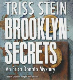 Brooklyn Secrets by Triss Stein