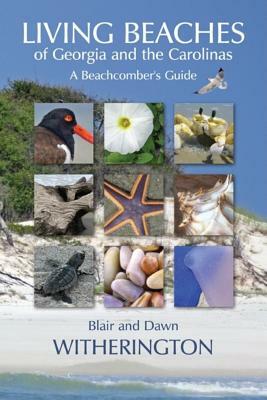 Living Beaches of Georgia and the Carolinas: A Beachcomber's Guide by Dawn Witherington, Blair Witherington