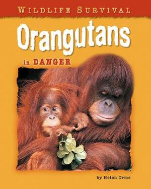 Orangutans in Danger by Helen Orme