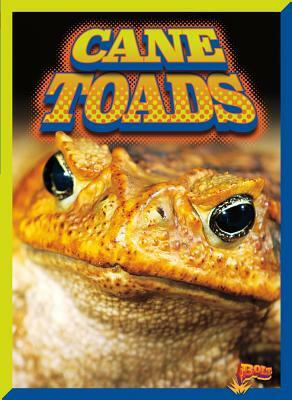 Cane Toads by Barbara J. Ciletti