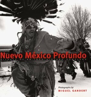 En Breve: Minimalism In Mexican Poetry, 1900 1985 by Enrique R. Lamadrid