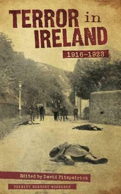 Terror in Ireland: 1916-1923 by David Fitzpatrick
