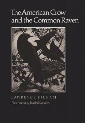 The American Crow & Common Raven by Lawrence Kilham