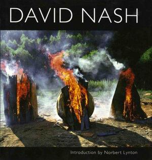 David Nash by David Nash