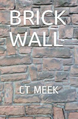 Brick Wall: poetry book by Ct Meek