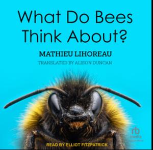 What Do Bees Think About? by Mathieu LIHOREAU