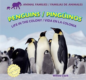 Penguins/Pinginos: Life in the Colony/Vida En La Colonia by Willow Clark