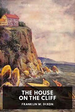 The House on the Cliff by Franklin W. Dixon