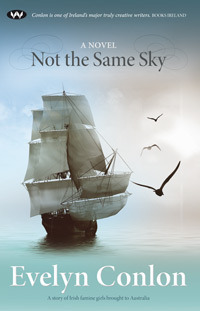 Not the Same Sky by Evelyn Conlon
