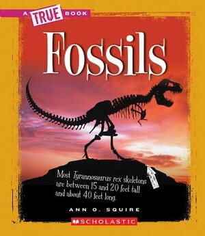 Fossils by Ann O. Squire