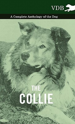 The Collie - A Complete Anthology of the Dog - by Various