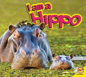 Hippopotamus by Aaron Carr